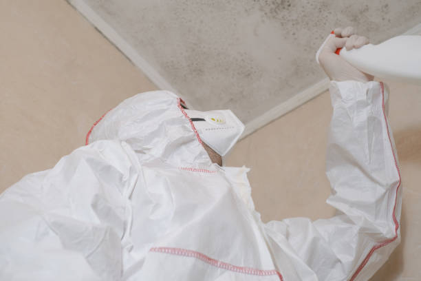Best Office Mold Removal Services  in Grantsville, UT